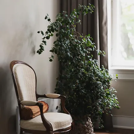 Ba61 - Lux 4 Bedrooms, 260 Sqm, 2 Balconies, Free Parking Apartment Oslo