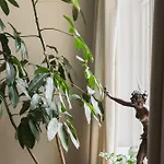 Ba61 - Lux 4 Bedrooms, 260 Sqm, 2 Balconies, Free Parking 公寓 奥斯陆